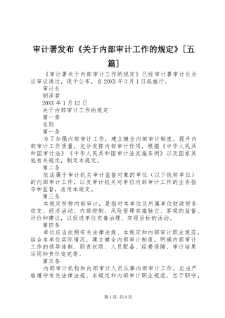 审计署发布关于内部审计工作的规定五篇