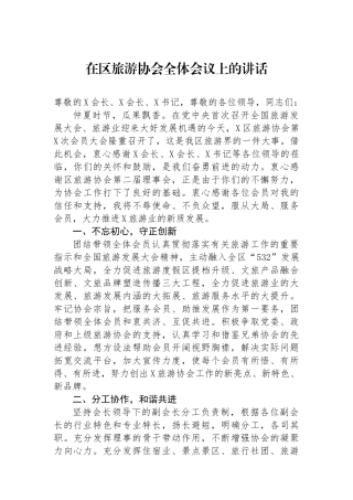 在区旅游协会全体会议上的讲话