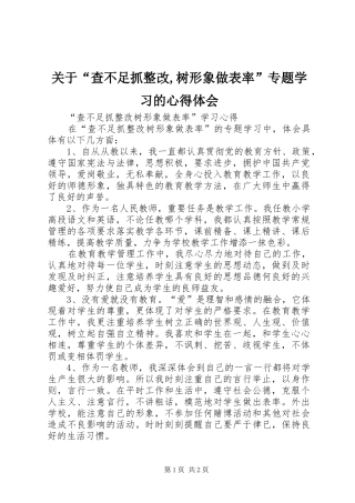 关于查不足抓整改树形象做表率专题学习的心得体会