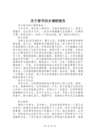 关于春节回乡调研报告