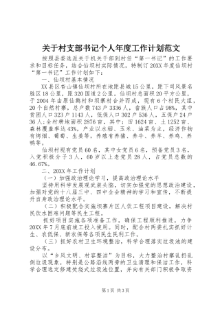 关于村支部书记个人年度工作计划范文