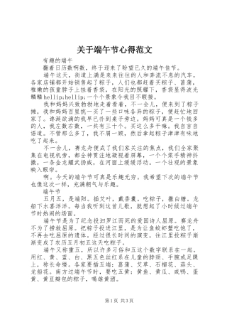 关于端午节心得范文