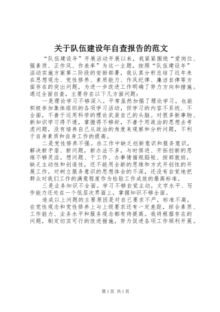关于队伍建设年自查报告的范文