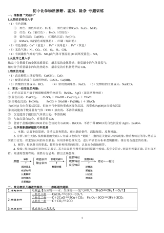 初中化学离子共存-物质鉴别分离-化学推断专题训练