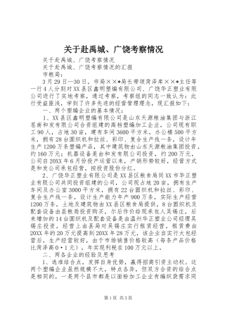 关于赴禹城广饶考察情况