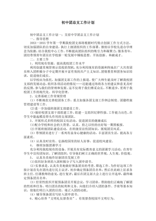 初中团总支工作计划