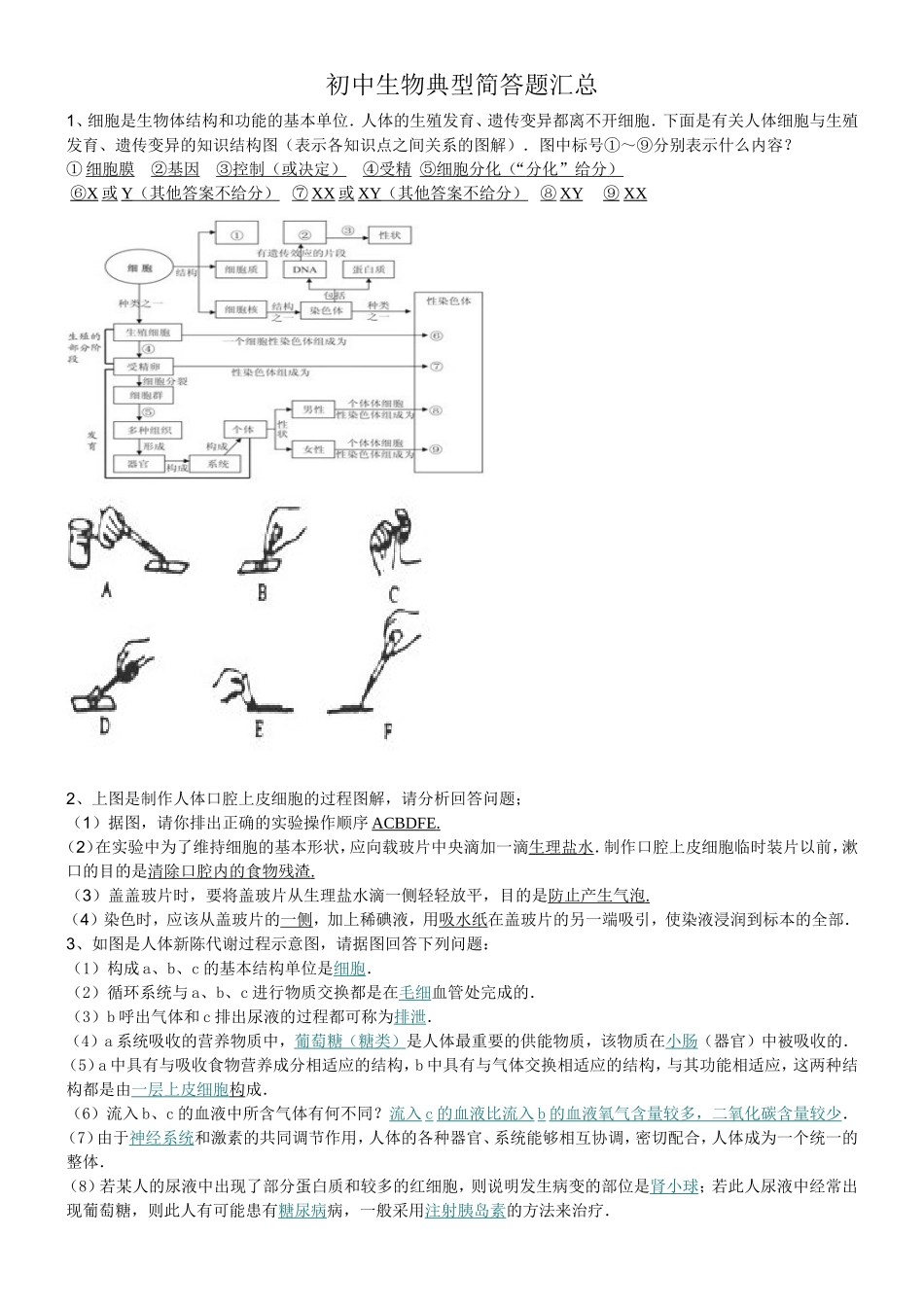 初中生物简答题汇总_第1页