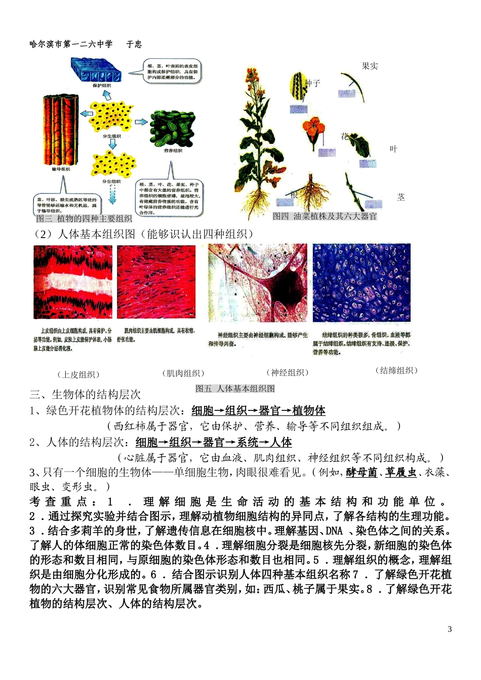 初中生物结业考试知识点复习_第3页
