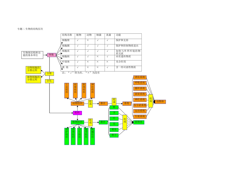 初中生物全部概念图_第2页