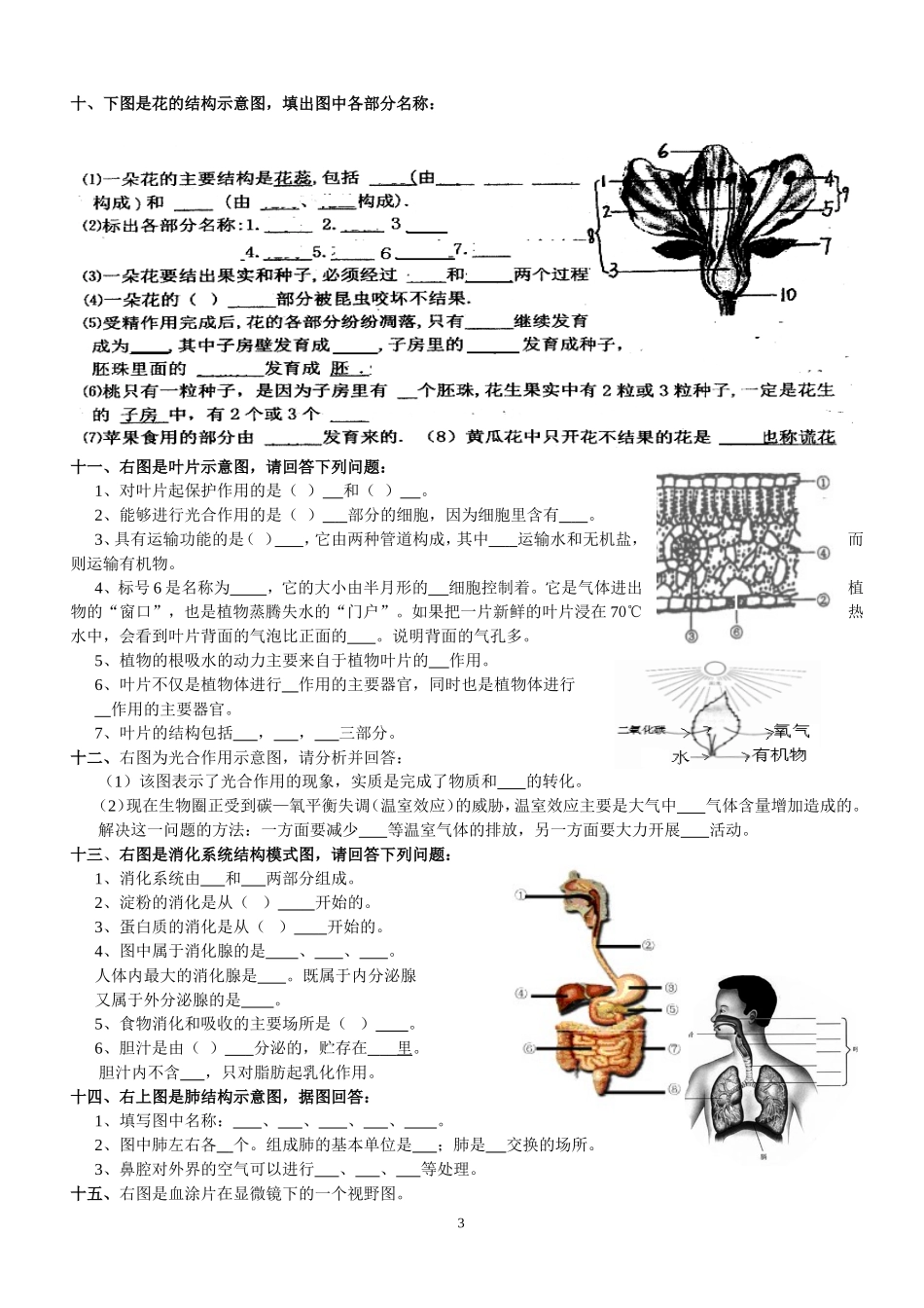 初中生物识图实验和答案_第3页