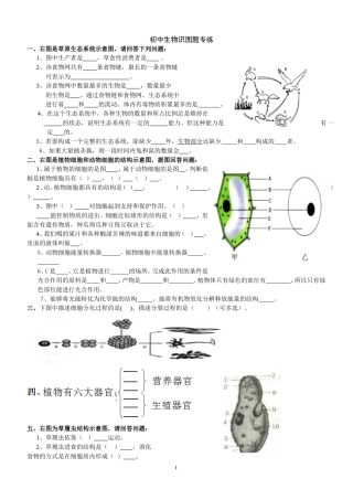 初中生物识图实验和答案