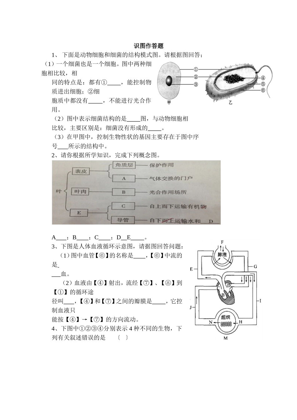 初中生物识图作答专项练习题_第1页