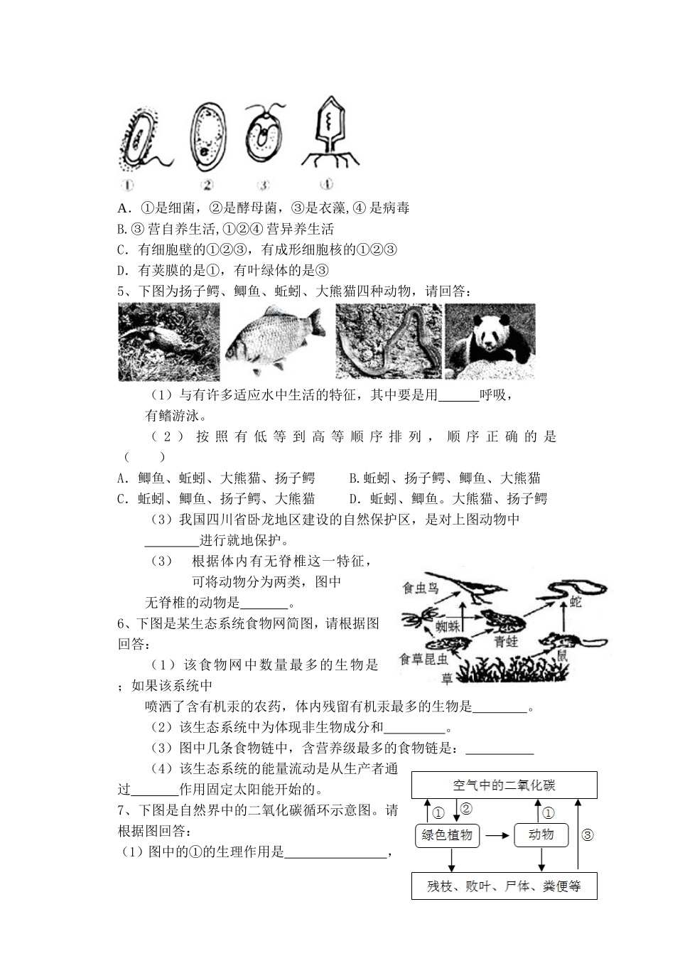 初中生物识图作答专项练习题_第2页