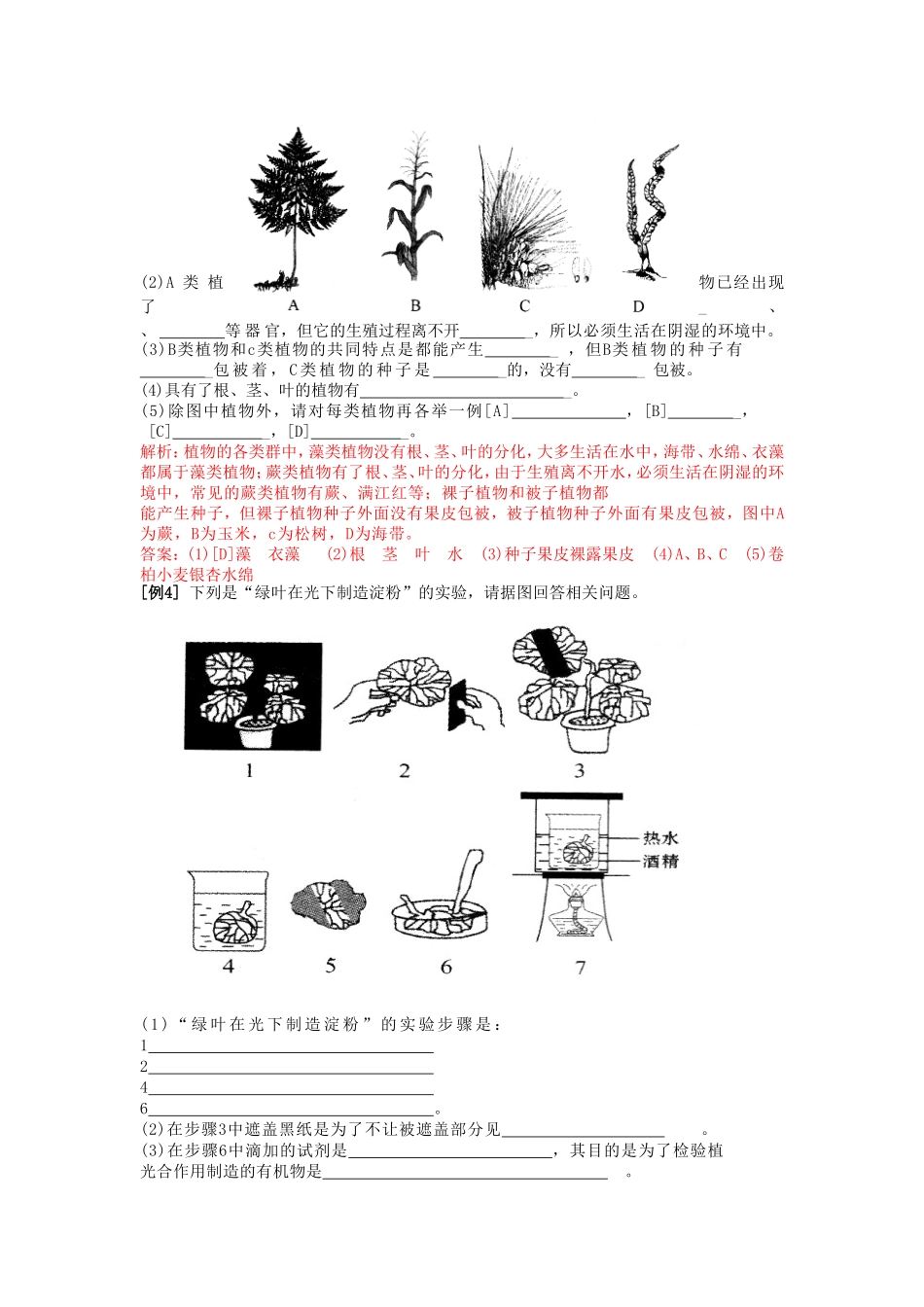 初中生物图题集锦_第2页
