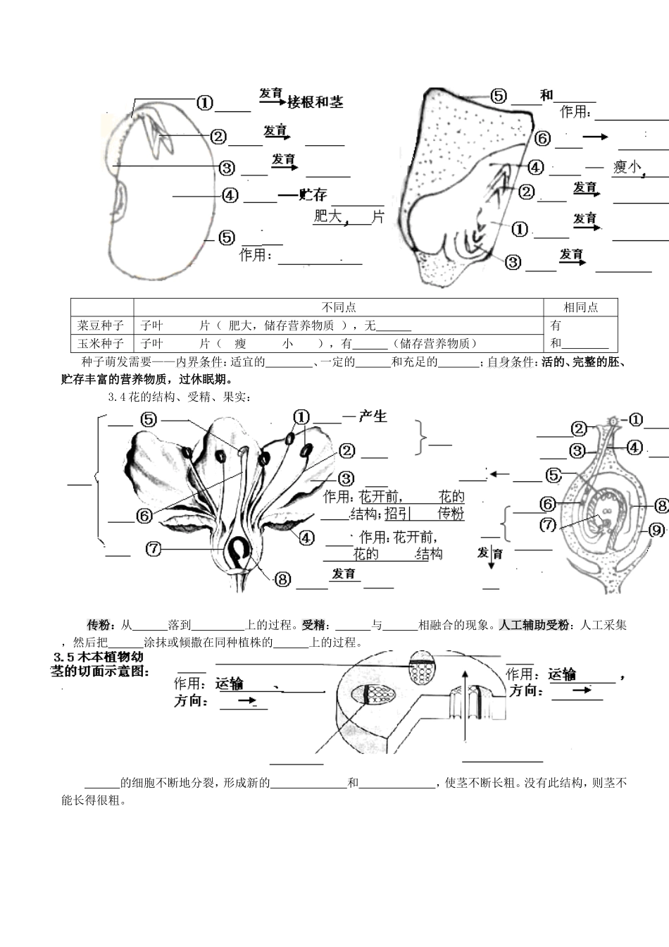 初中生物中考重要图归纳_第3页