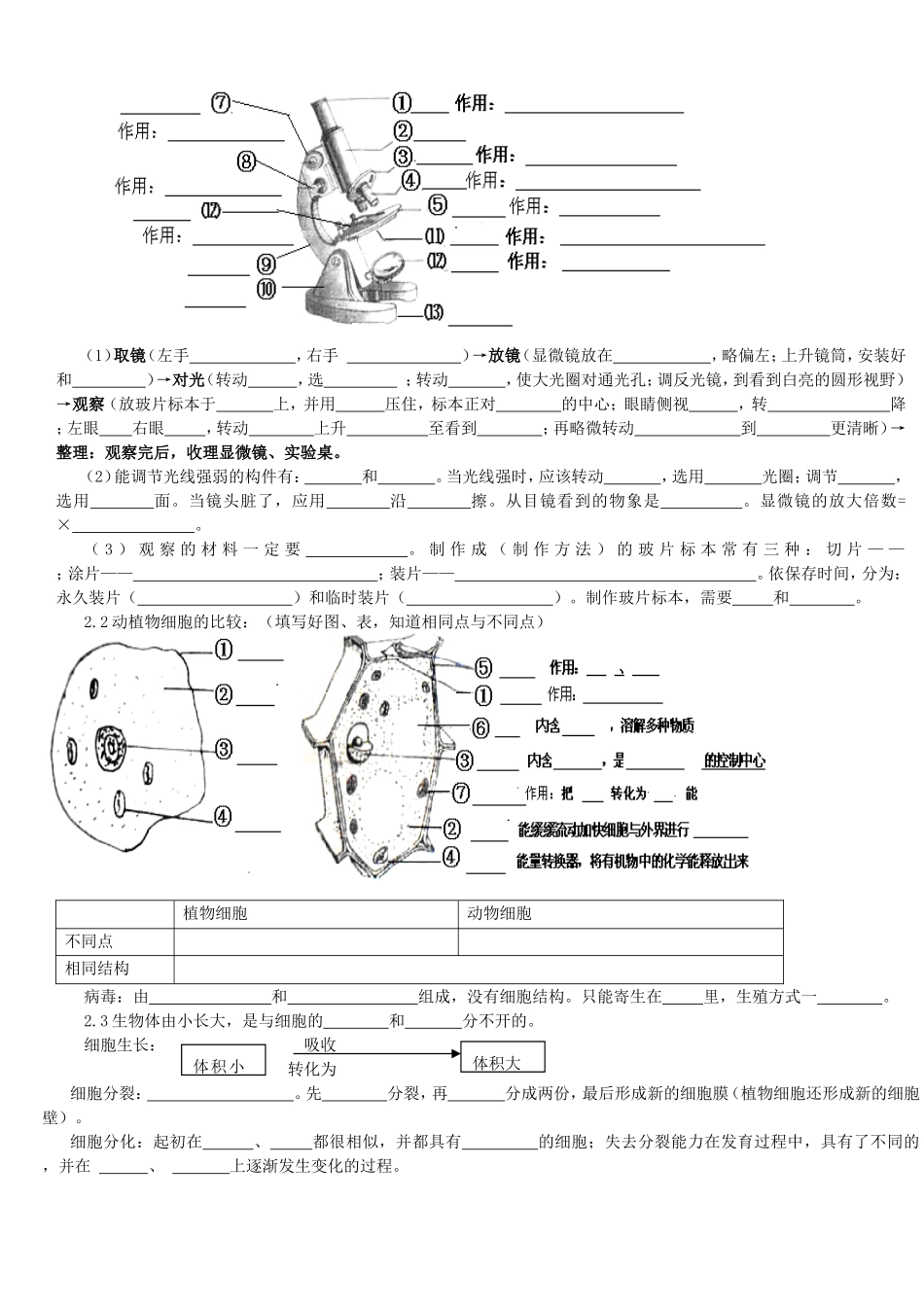 初中生物中考总复习——重要知识点(图、表等)_第2页
