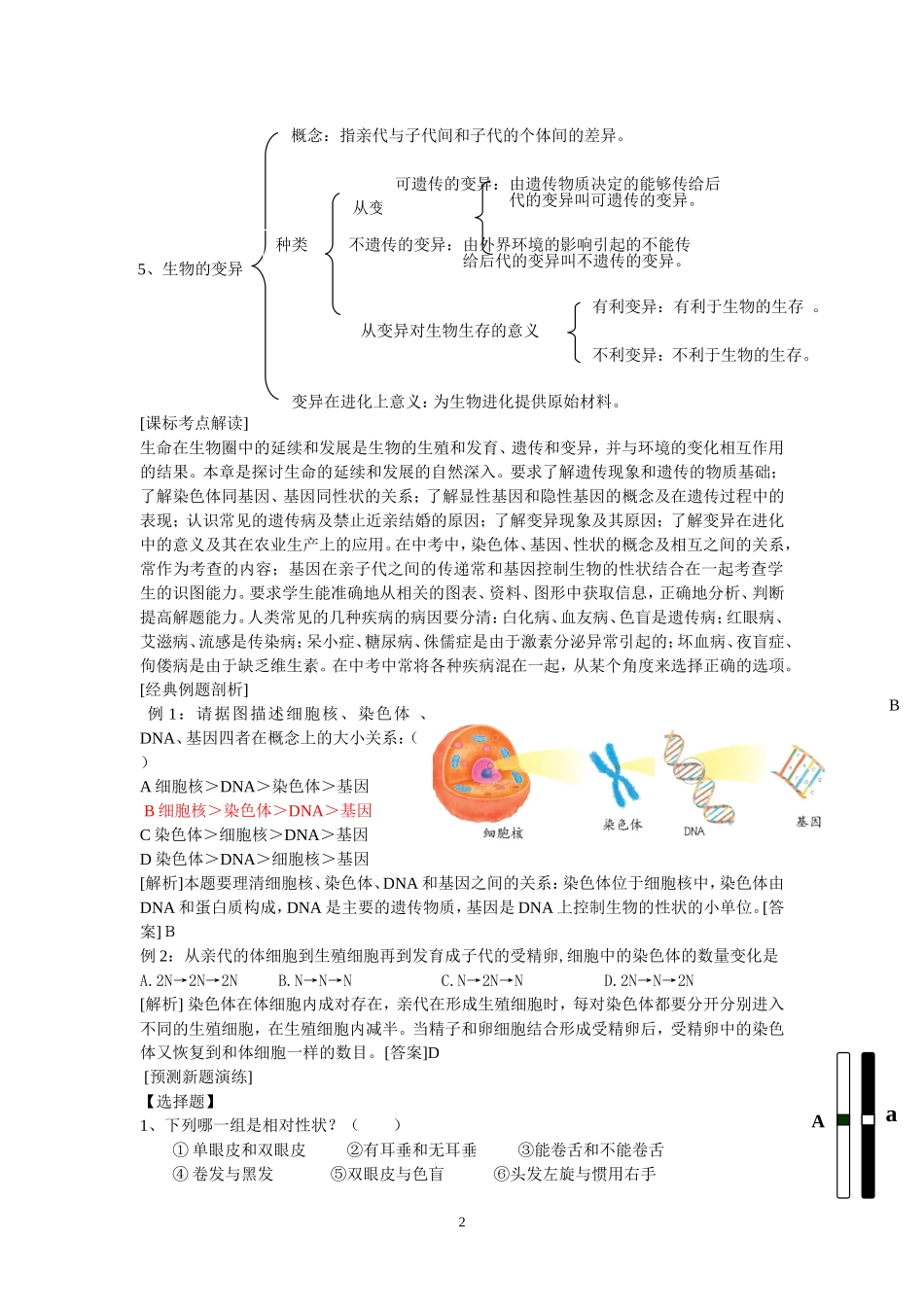 初中生物专题八遗传、变异和进化_第2页