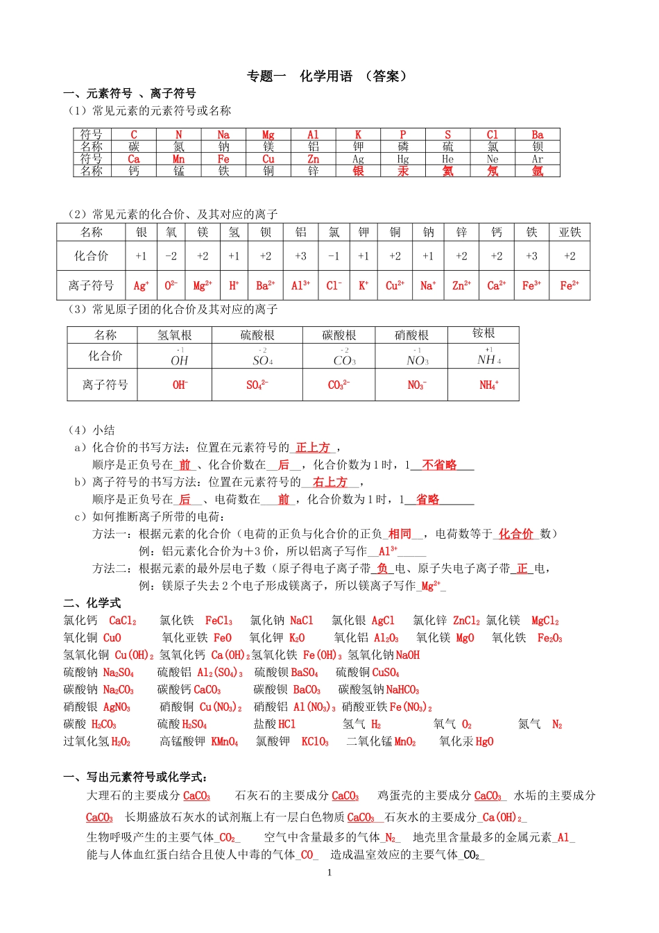 初中化学用语训练题(含答案)_第1页