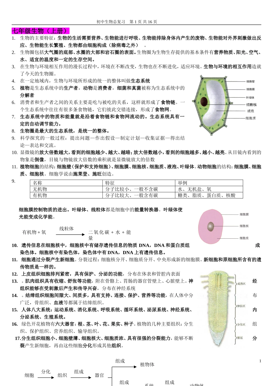 初中生物总复习提纲{带彩图}新人教版_第1页