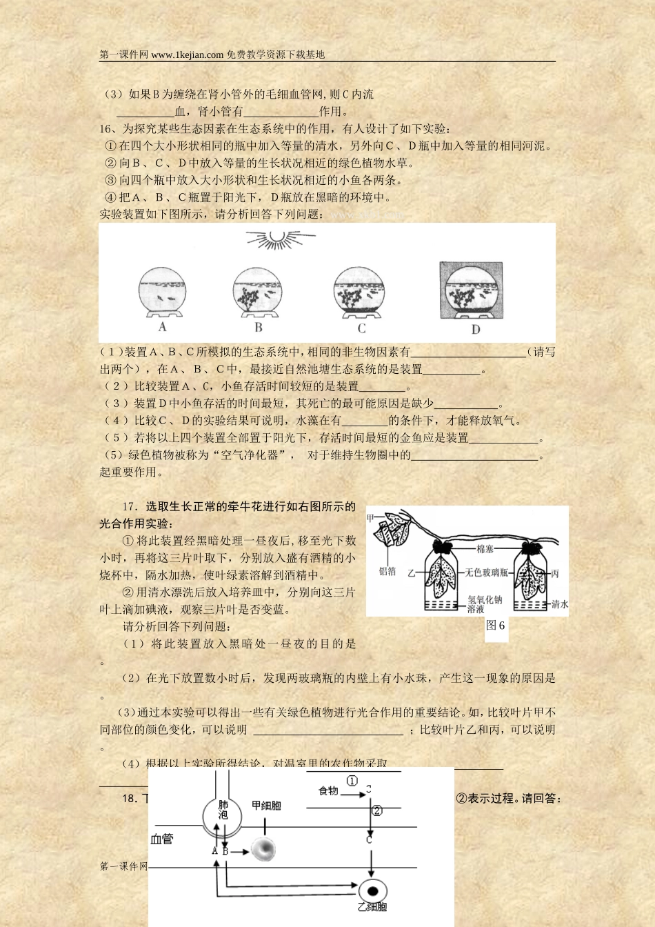 初中生物总复习题及答案_第3页