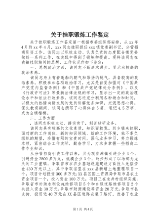 关于挂职锻炼工作鉴定