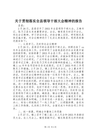 关于贯彻落实全县领导干部大会精神的报告