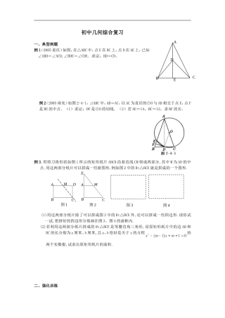 初中几何综合复习试题