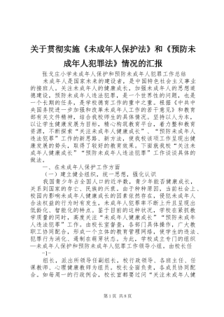 关于贯彻实施未成年人保护法和预防未成年人犯罪法情况的汇报