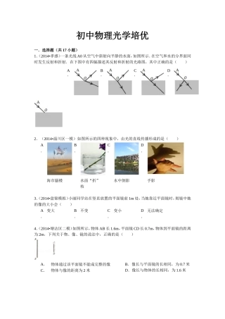 初中物理光学培优