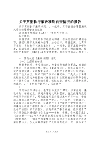 关于贯彻执行廉政准则自查情况的报告