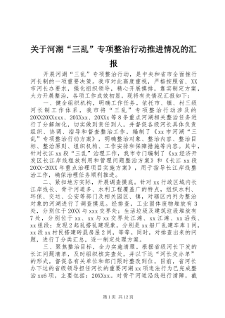 关于河湖三乱专项整治行动推进情况的汇报