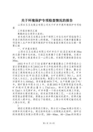 关于环境保护专项检查情况的报告