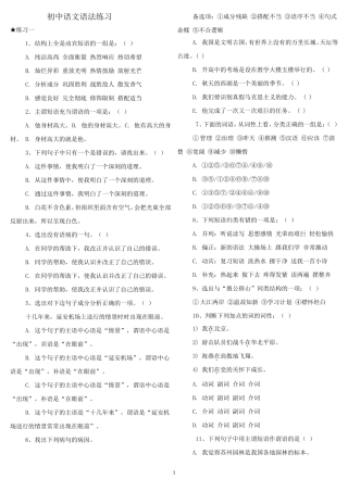 初中语文语法练习-(含答案)-p