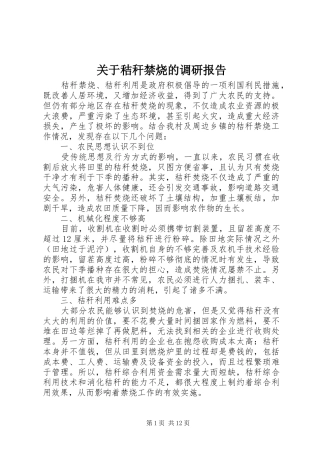 关于秸秆禁烧的调研报告