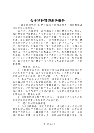 关于秸秆禁烧调研报告