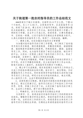 关于街道第一批农村指导员的工作总结范文