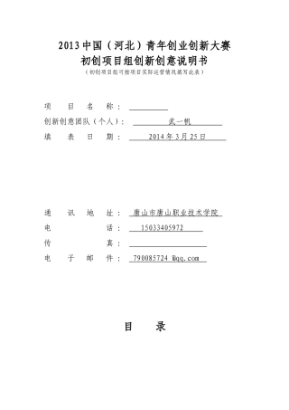创新创意说明书