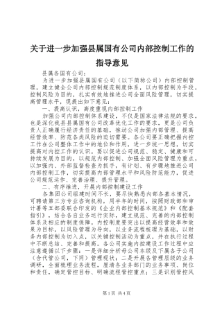 关于进一步加强县属国有公司内部控制工作的指导意见
