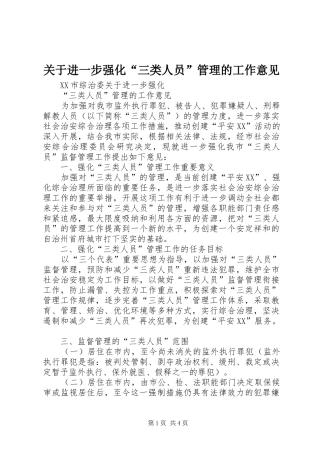 关于进一步强化三类人员管理的工作意见