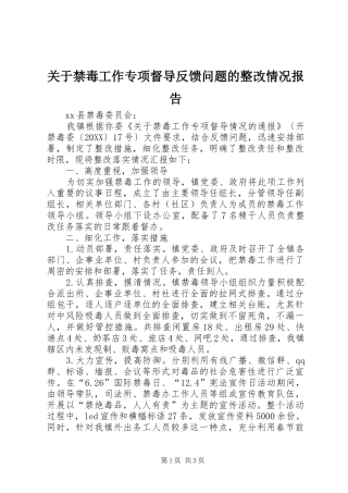 关于禁毒工作专项督导反馈问题的整改情况报告