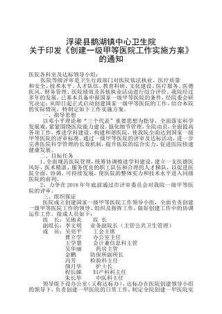 创建一级甲等医院达标实施方案