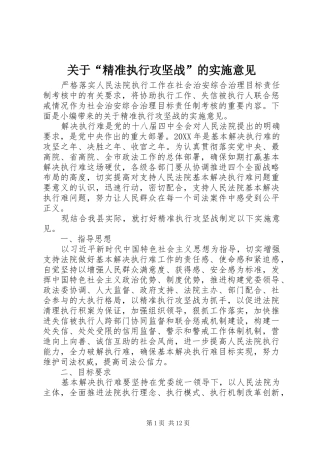 关于精准执行攻坚战的实施意见