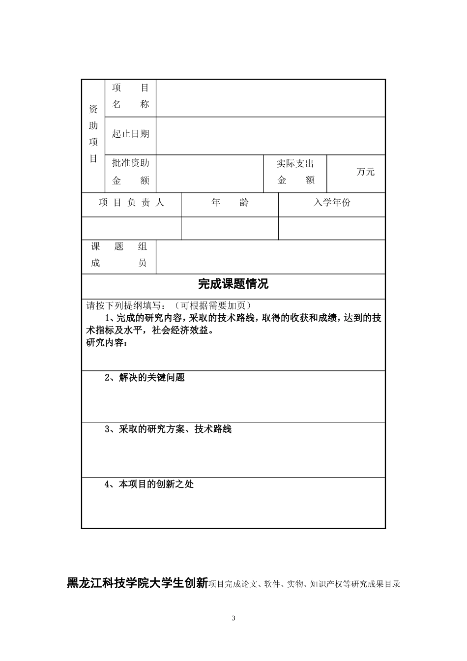 创新项目结题书_第3页