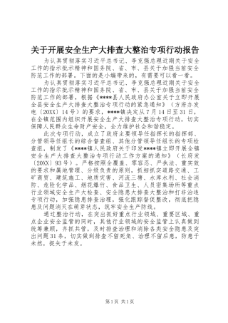 关于开展安全生产大排查大整治专项行动报告