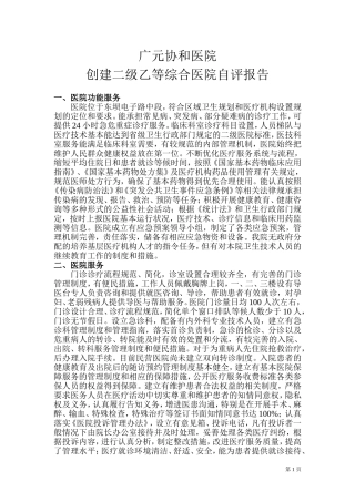 创建二级医院自评报告