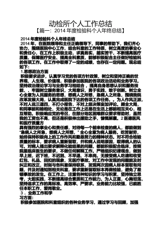 动检所个人工作总结