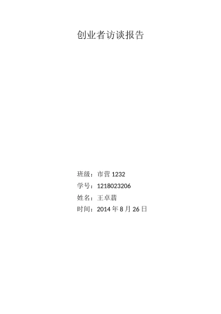 创业者访谈报告