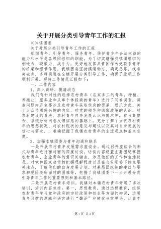 关于开展分类引导青年工作的汇报