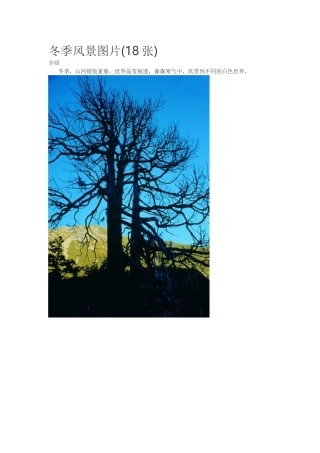 冬季风景图片(18张)