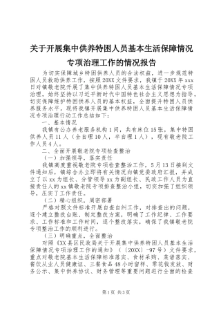 关于开展集中供养特困人员基本生活保障情况专项治理工作的情况报告